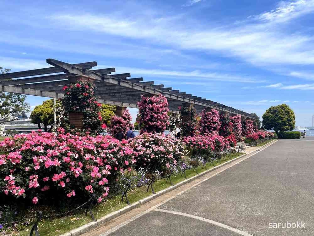 サルボックさんの山下公園への投稿