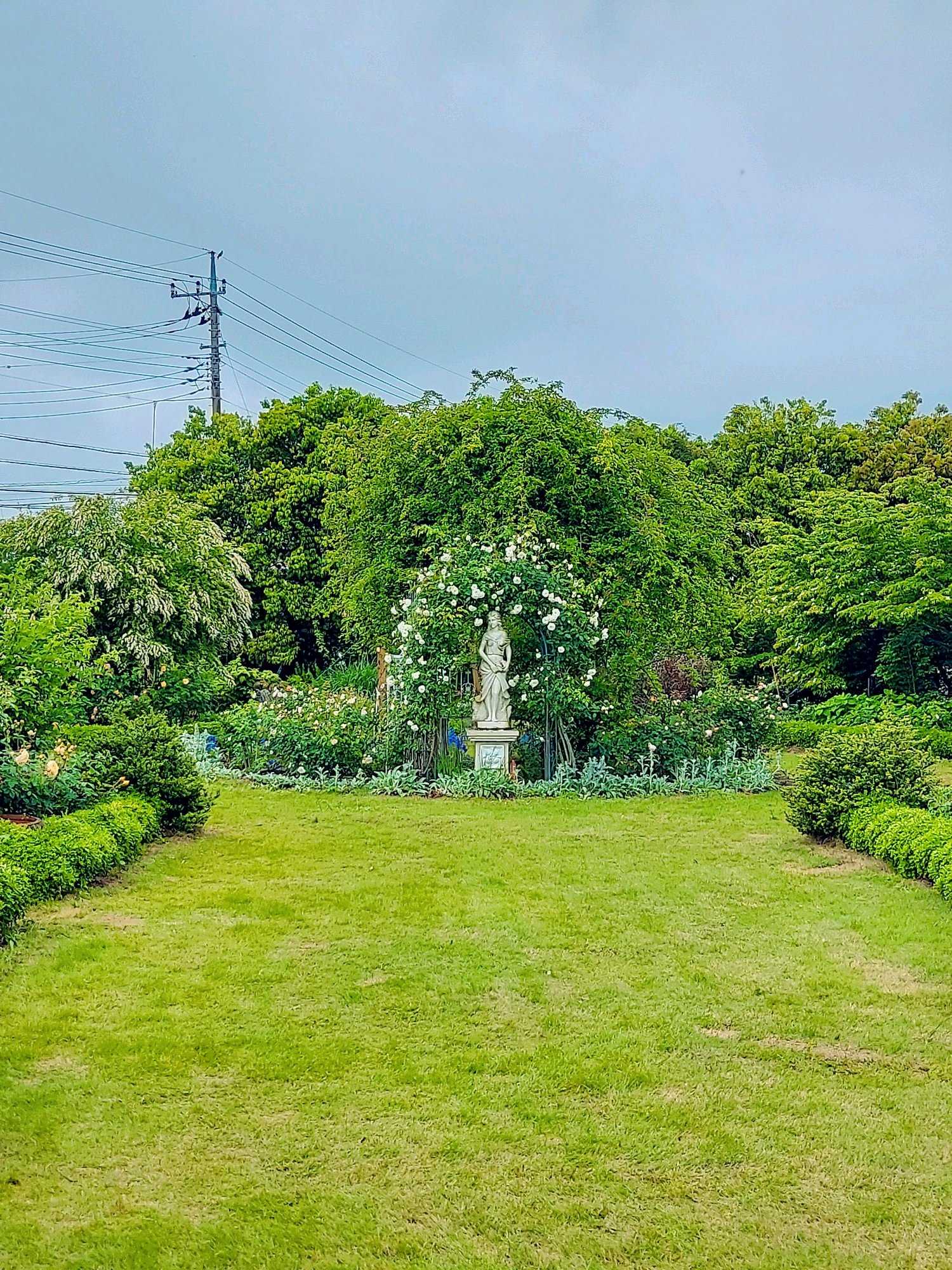 No.102 つくばローズガーデン2024年 ①風景｜🍀GreenSnap（グリーン