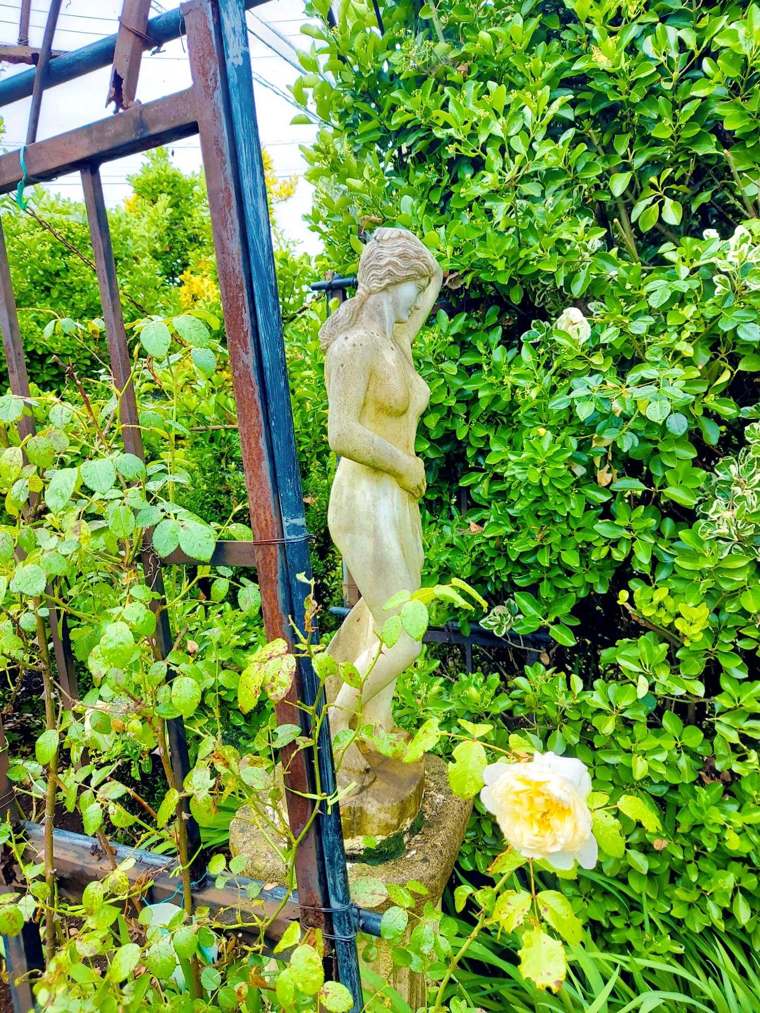 No.102 つくばローズガーデン2024年 ①風景｜🍀GreenSnap（グリーン