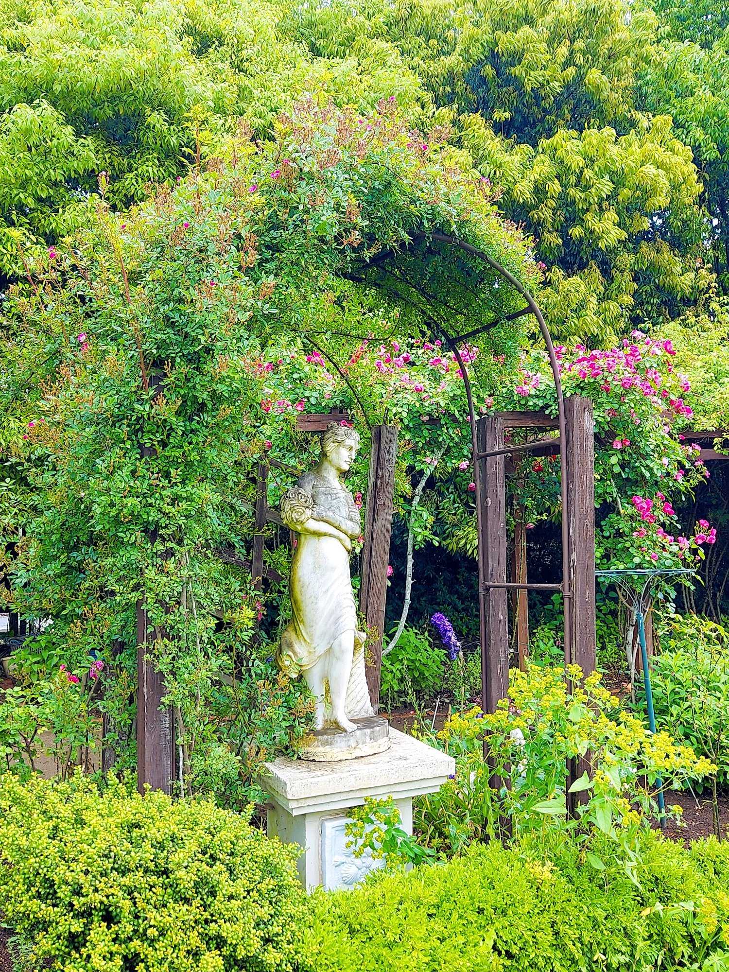 ローズガーデン No.102 つくばローズガーデン2024年 ①風景｜🍀GreenSnap（グリーン