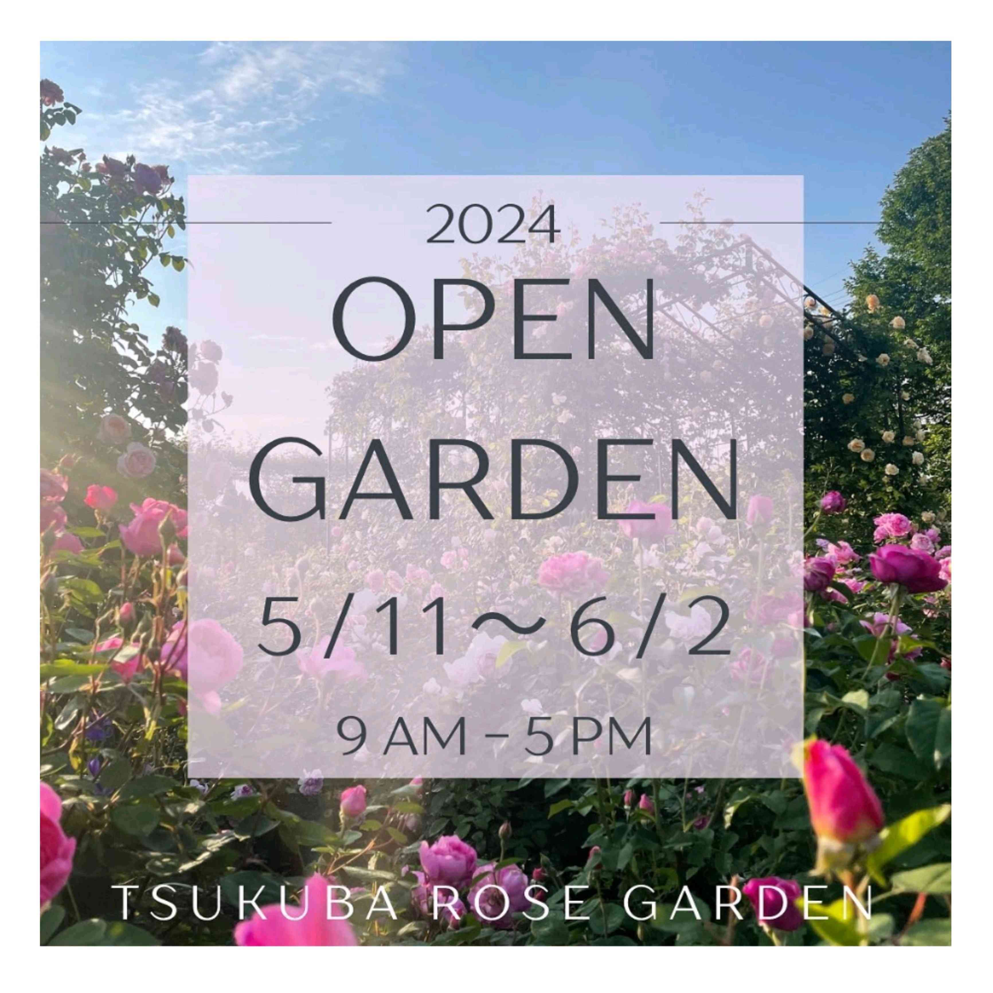 1715856314806_296153_p_2024051