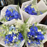 かわいい,切り花,癒し,ブルー,花のある暮らしの画像