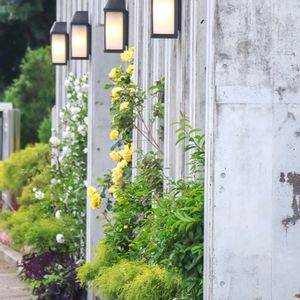 散歩,花壇,花いろいろ,ばら バラ 薔薇,ガーデンネックレス横浜2024コンテストの画像