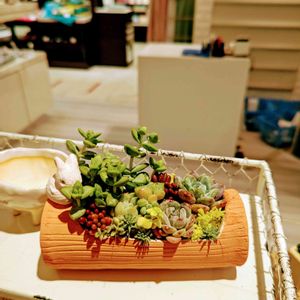 手作り鉢,テラコッタ鉢,多肉植物の鉢,#多肉植物,月の手しごとの画像