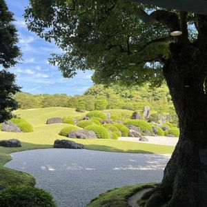 日本庭園,足立美術館♡,♡青空♡の画像