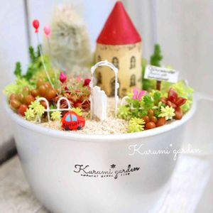 サボテン寄せ植え,箱庭 サボテン,サボテン&セダムの箱庭,マグカップ,多肉植物寄せ植えの画像