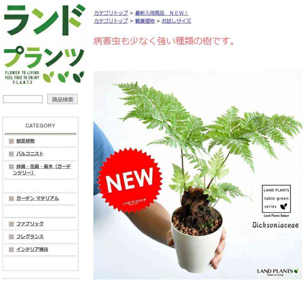 タカワラビ(キンモウコウ)の育て方｜日当たりや水やりの加減は？｜🍀GreenSnap（グリーンスナップ）