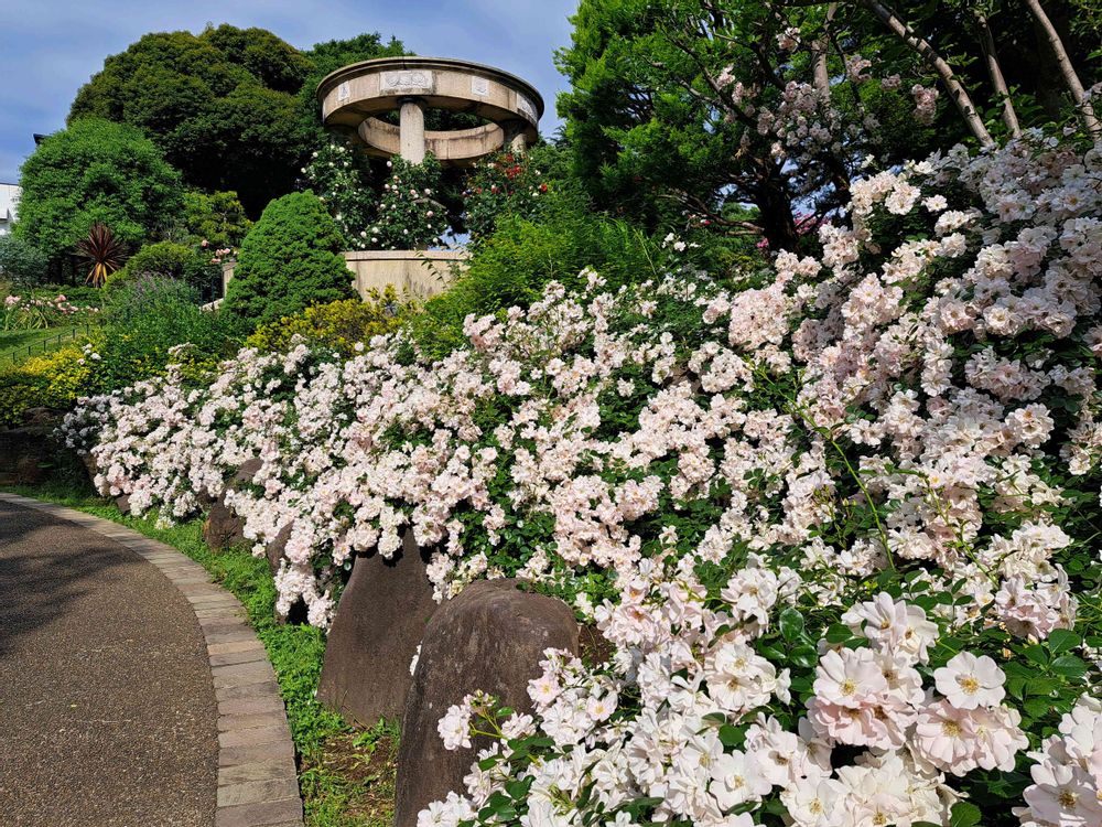 エリィさんの港の見える丘公園への投稿