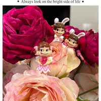 バラ,花のある暮らし,華やか,ペコちゃん祭りの画像