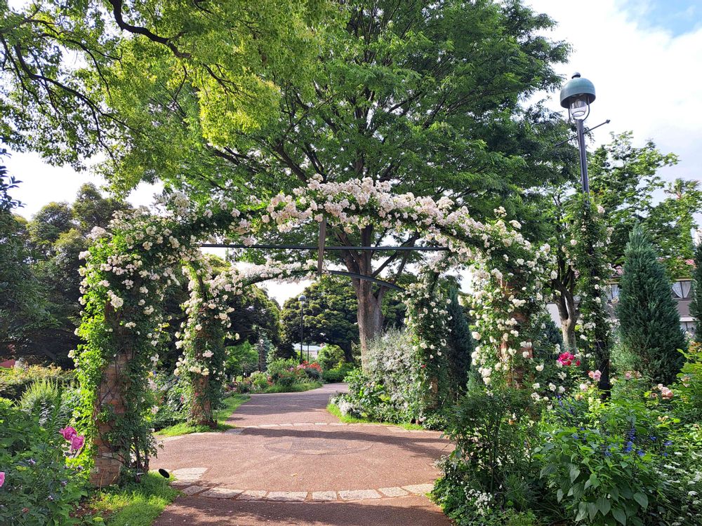 エリィさんの港の見える丘公園への投稿