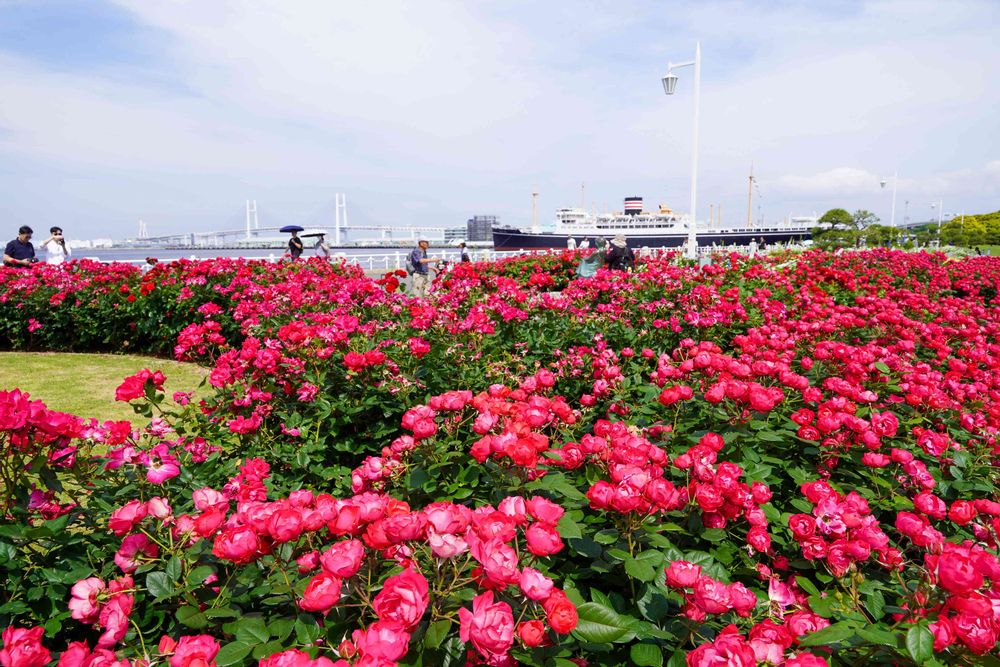 【公式】ガーデンネックレス横浜さんの山下公園への投稿