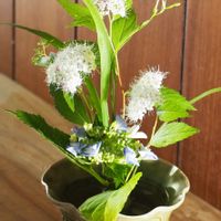 シモツケ ,生け花,日曜日は日本を感じる和の花,小さな庭の画像