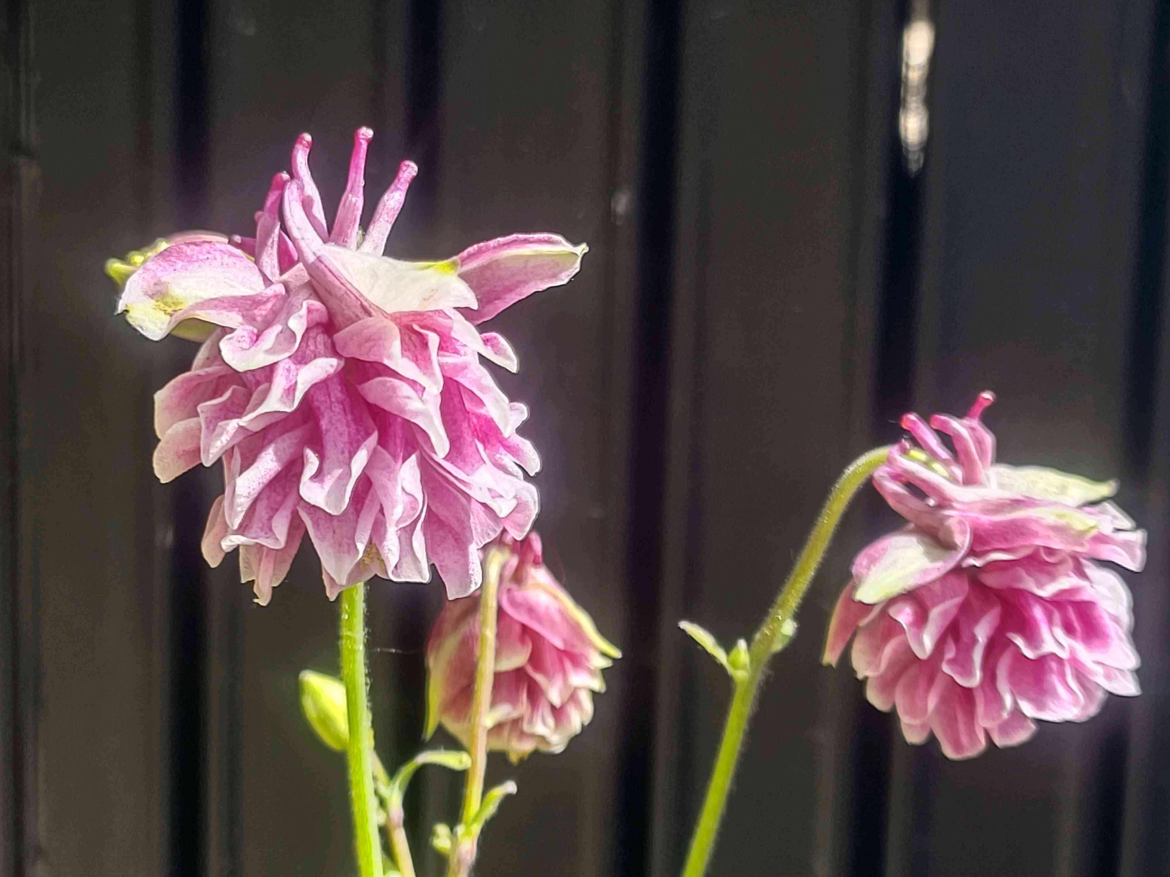 1716686173922_41971_p_20240526