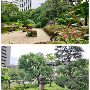 ツツジ,マツ,イロハモミジ,日本庭園,都会のオアシスの画像