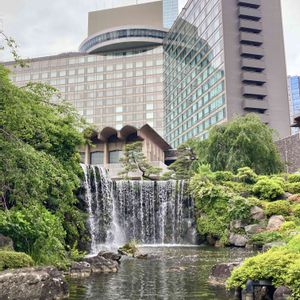 サンパチェンス,ツツジ,ツツジ,枝垂れ桜,日本庭園の画像