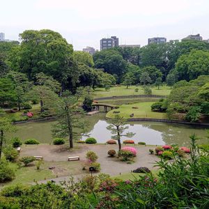 日本庭園,六義園,東京横浜の旅の画像