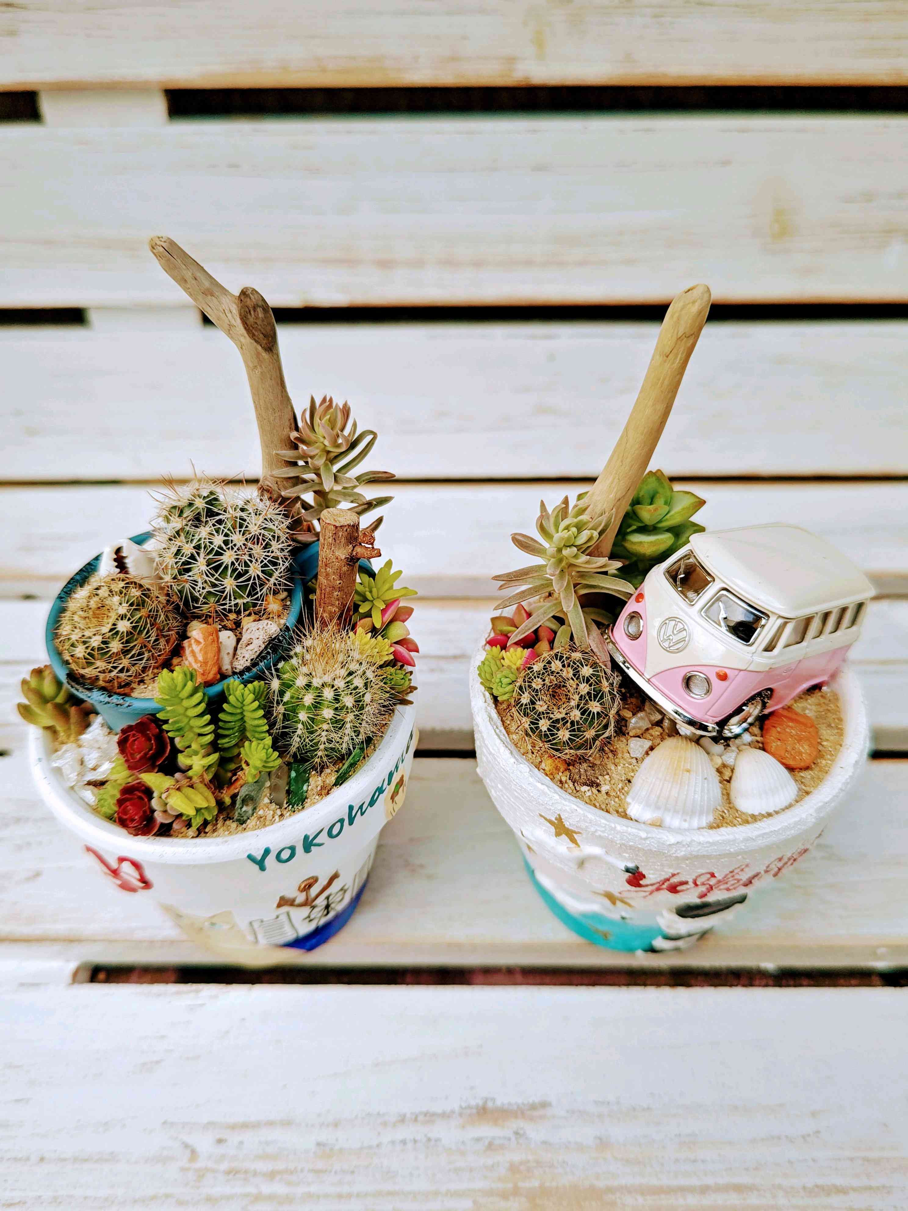 ハートカズラの投稿画像 by tsukiさん｜多肉寄せ植えと手作り鉢と