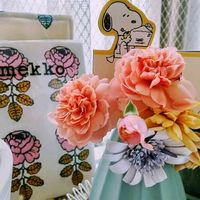 ミニバラ,ビオラ,オレガノ ケントビューティー,オステオスペルマム,ダブルオステオスペルマムの画像