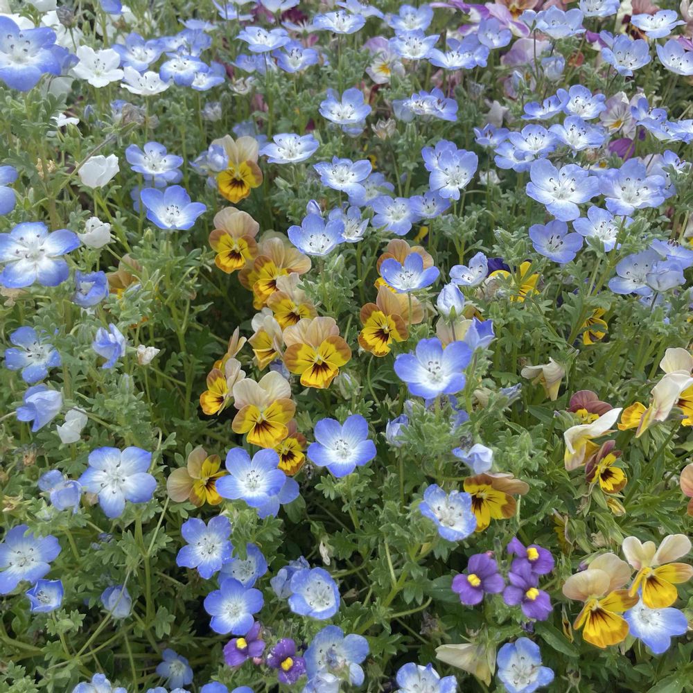 なっちゃんさんの山下公園への投稿