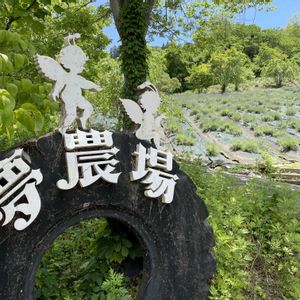 ハーブ園,良い香り,花のある暮らし,花好き,お出かけ先の画像