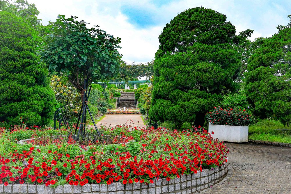 まりんさんの港の見える丘公園への投稿