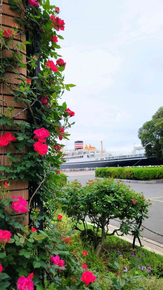 花陽さんの港の見える丘公園への投稿