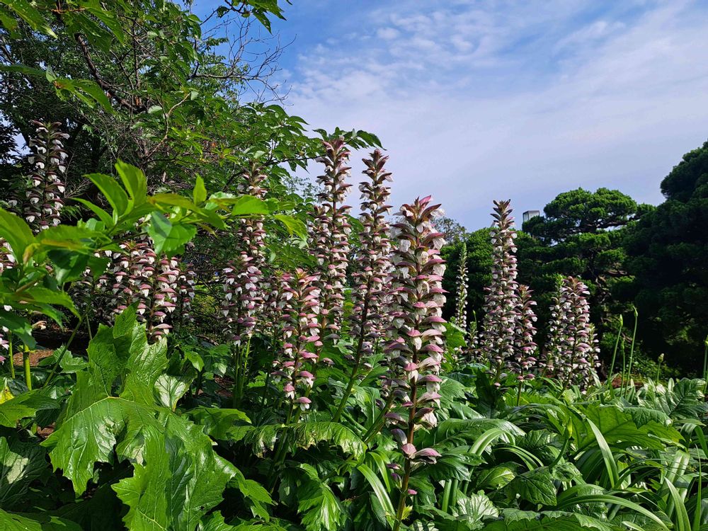 エリィさんの港の見える丘公園への投稿