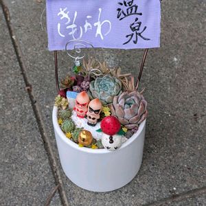 多肉植物 寄せ植え,多肉植物,多肉箱庭,ありがとう,キューピーの画像