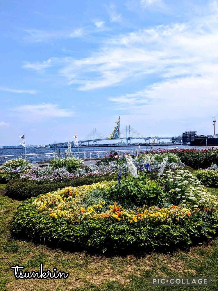 つんくりんさんの山下公園への投稿