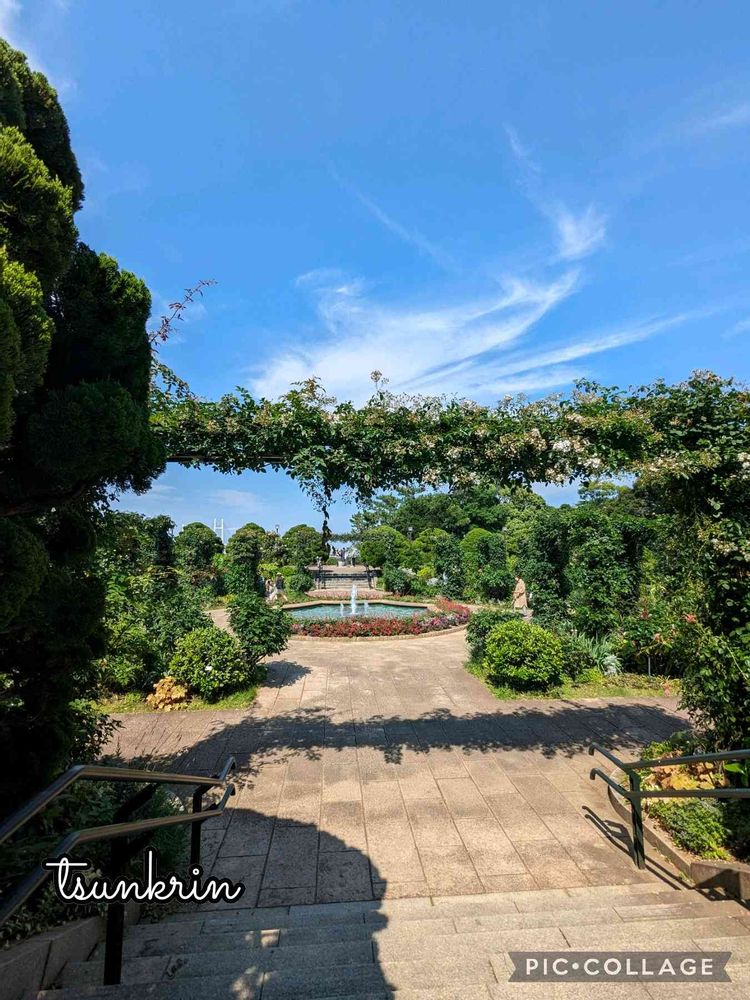 つんくりんさんの港の見える丘公園への投稿