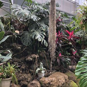 温室,さいたま市植物園の画像