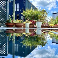 アサギリソウ,コデマリ,ヒューケラ,ジュンベリー,寄せ植えの画像