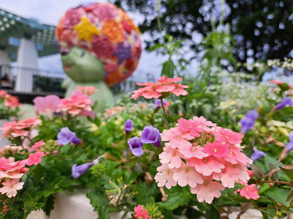 エリィさんの港の見える丘公園への投稿