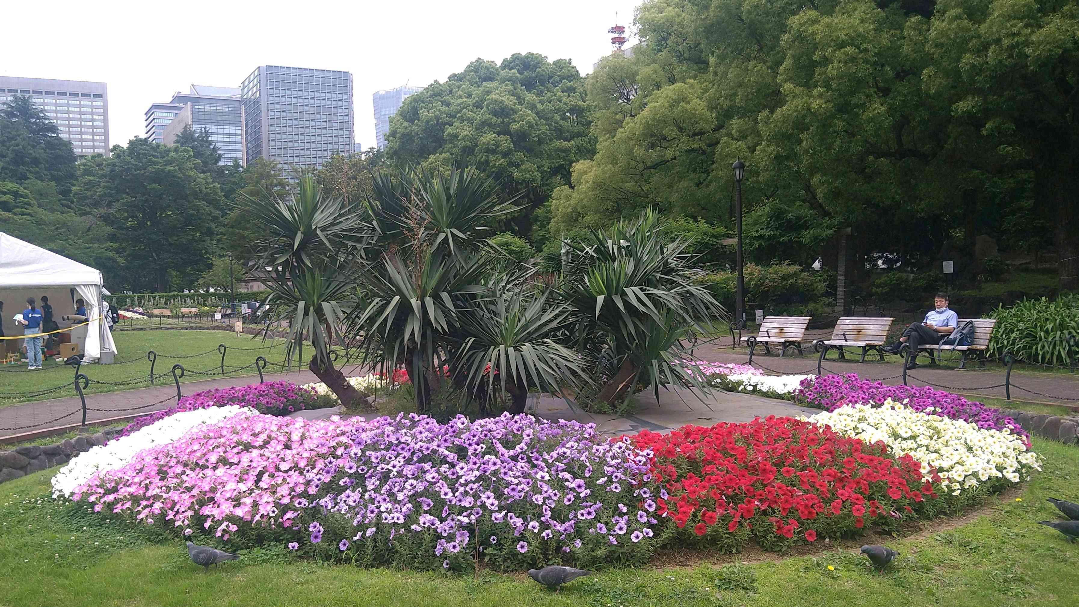 1718111747022_260298_p_2024061