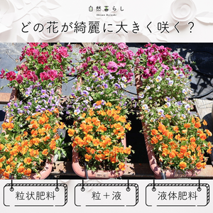 ガーデニング,花のある暮らし,植物のある暮らし,肥料,プランター栽培の画像