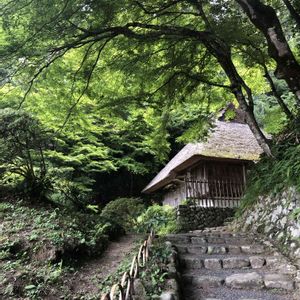 庭園,吉水園,お出かけ先の画像