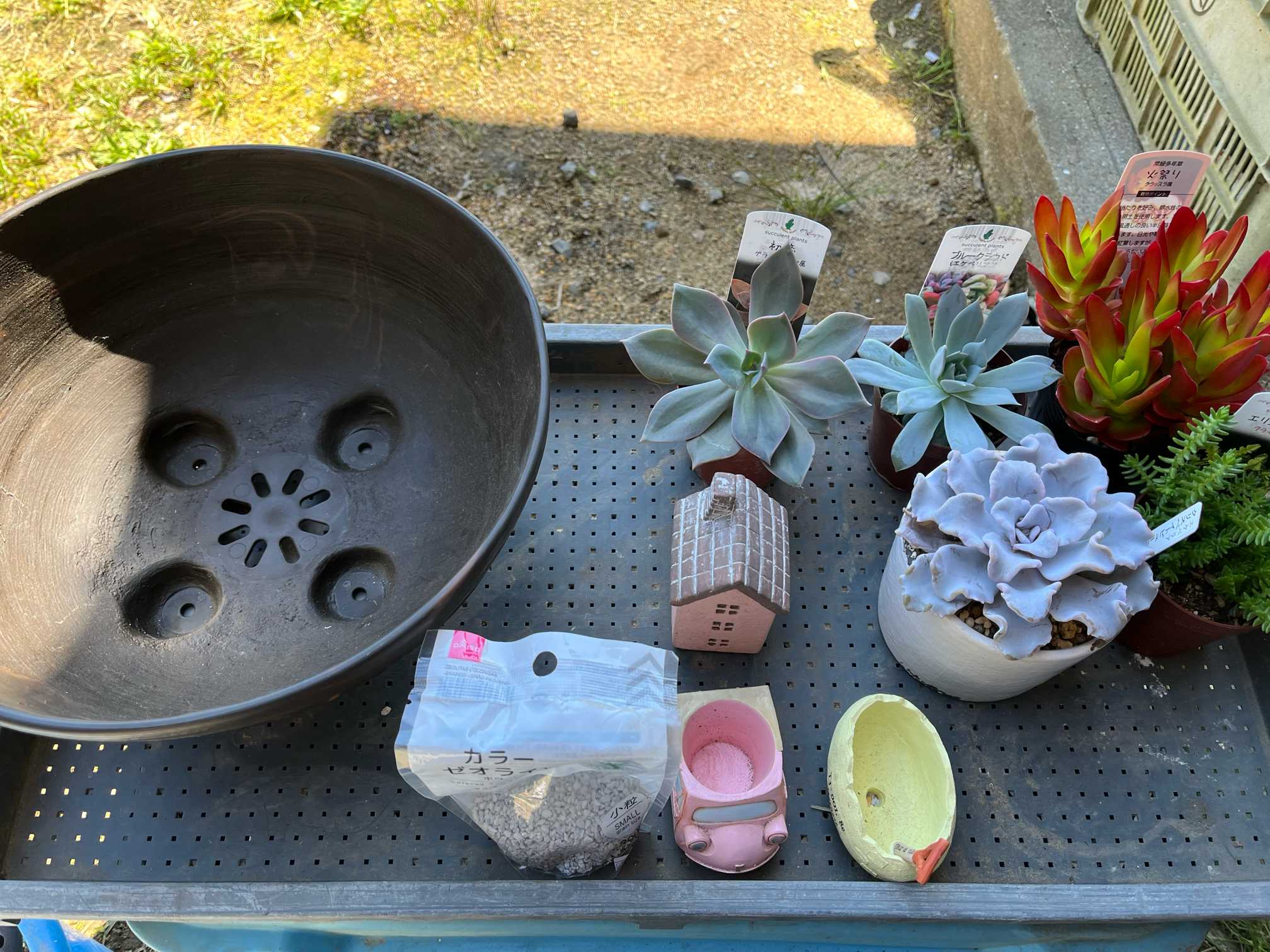 箱庭｜🍀GreenSnap（グリーンスナップ）