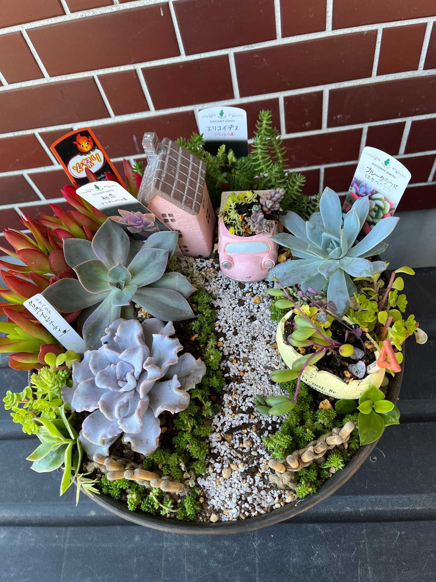 多肉植物　箱庭 箱庭 多肉植物 jun＊ 通販 12672789｜Creema(クリーマ)