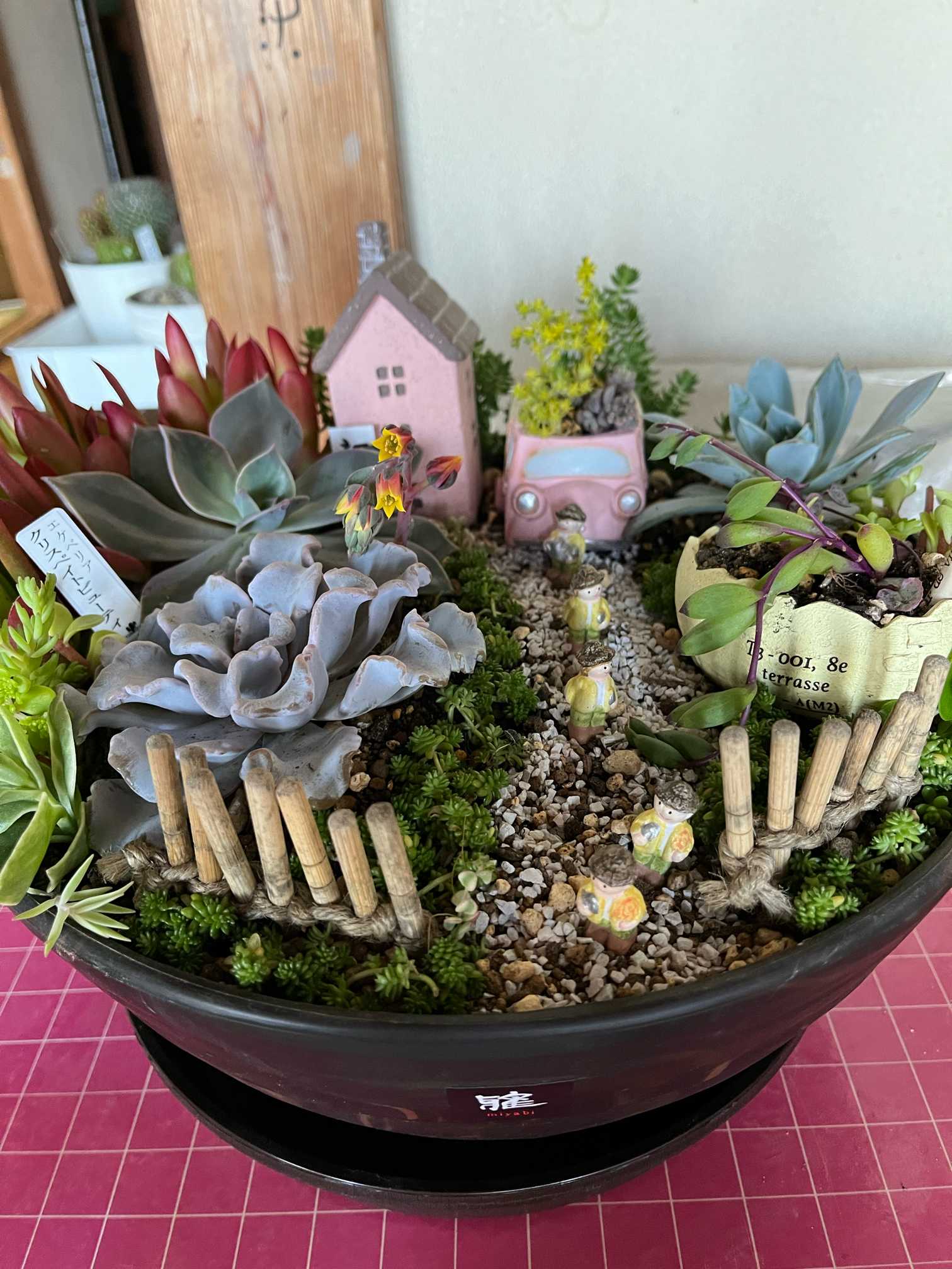 箱庭｜🍀GreenSnap（グリーンスナップ）