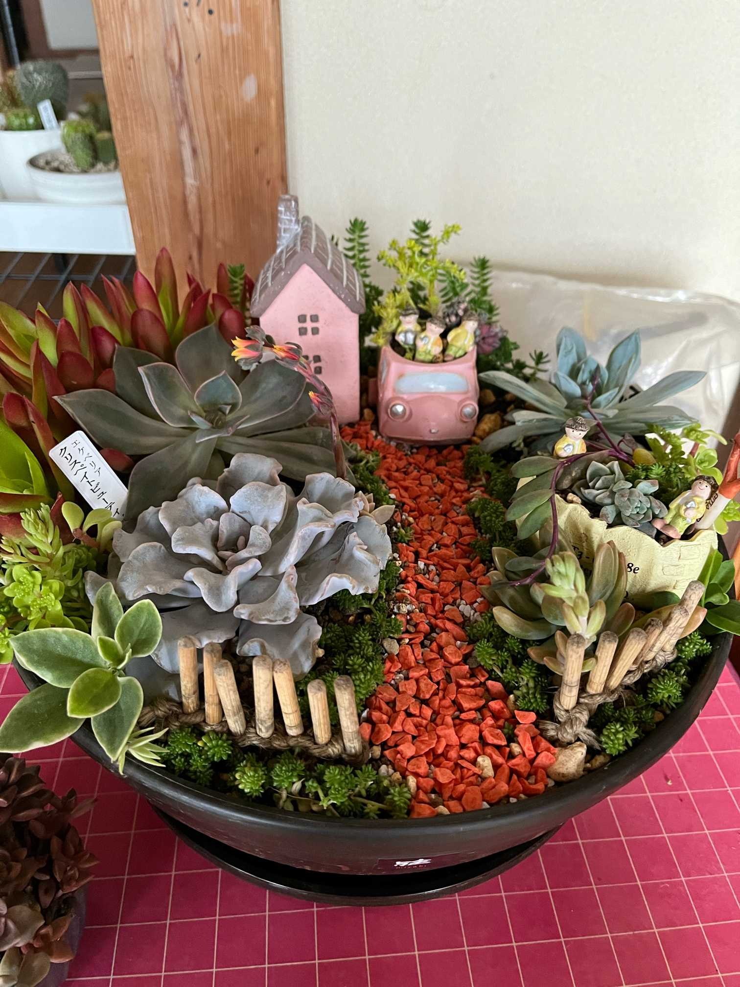 多肉植物　箱庭 箱庭 多肉植物 jun＊ 通販 12672789｜Creema(クリーマ)