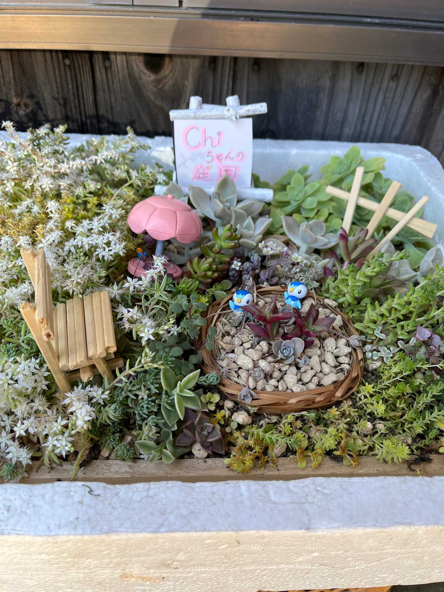 箱庭｜🍀GreenSnap（グリーンスナップ）