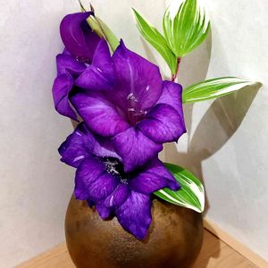 紫の花,投げ入れ,花のある暮らし,植物のある暮らし,花瓶の花の画像