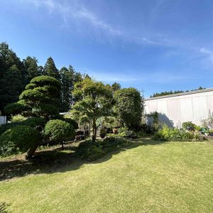 芝生,緑のある暮らし,植物のある暮らし,芝生の庭,育てる楽しみの画像