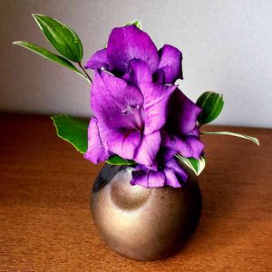 投げ入れ,花のある暮らし,植物のある暮らし,花瓶の花,紫の花が好きの画像