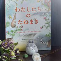 タンポポの綿毛,イロハモミジ,コンフリー,ゴウダソウ,クリスマスローズの種の画像