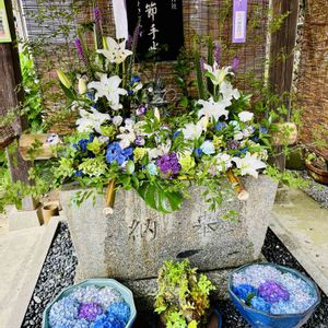 ユリ,紫陽花,苔玉,いけばな,花のある暮らしの画像