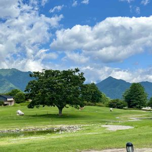 芝生の画像