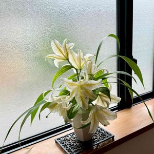 シラン,ユリ,百合,山百合,山百合の画像
