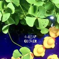 ウォータークローバー,水草,水生植物,水性植物,iPhone撮影の画像