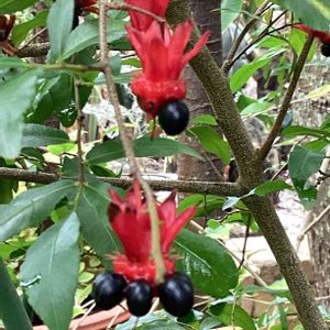 温室,今日の花,元気な花,花色々,お出かけ先。の画像